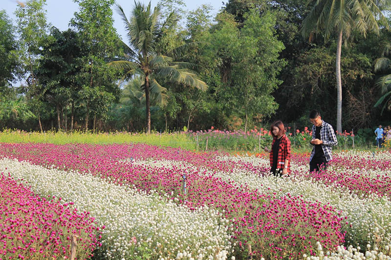 Man Dinh Hong flower market