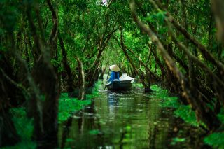 The dinghy leads tourists through narrow waterway on Mekong Delta
