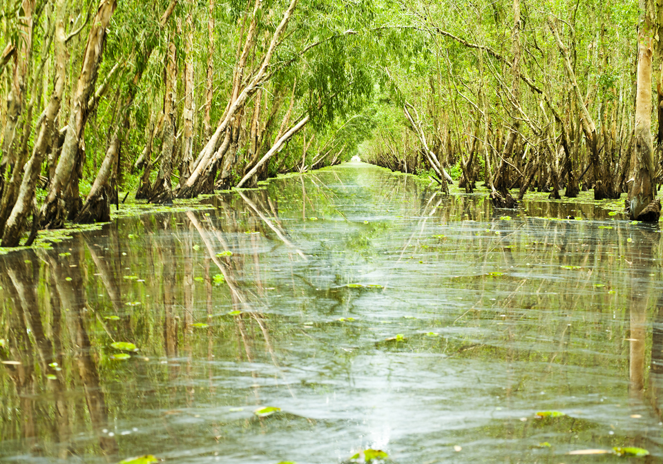 Aqua Mekong bird sanctuary