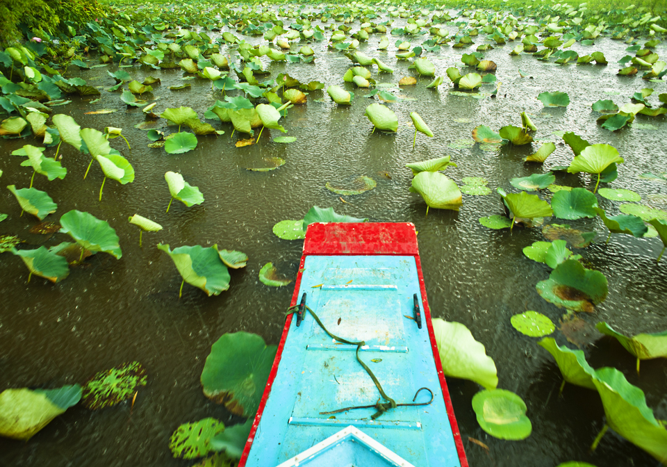 Authentic Mekong Delta Tour 4 Days