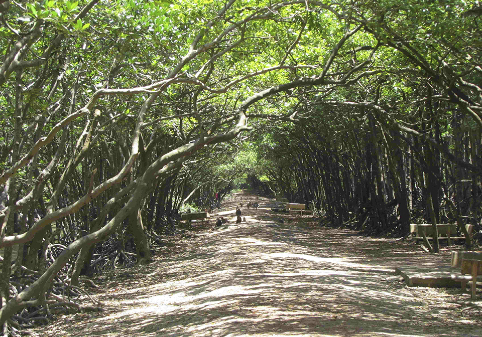 Can Gio Mangrove Forest full day tour
