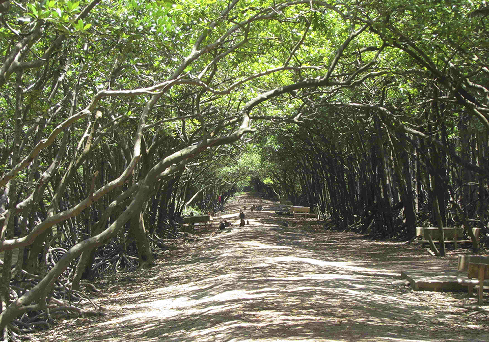 Can Gio Mangrove Forest Full Day Tour