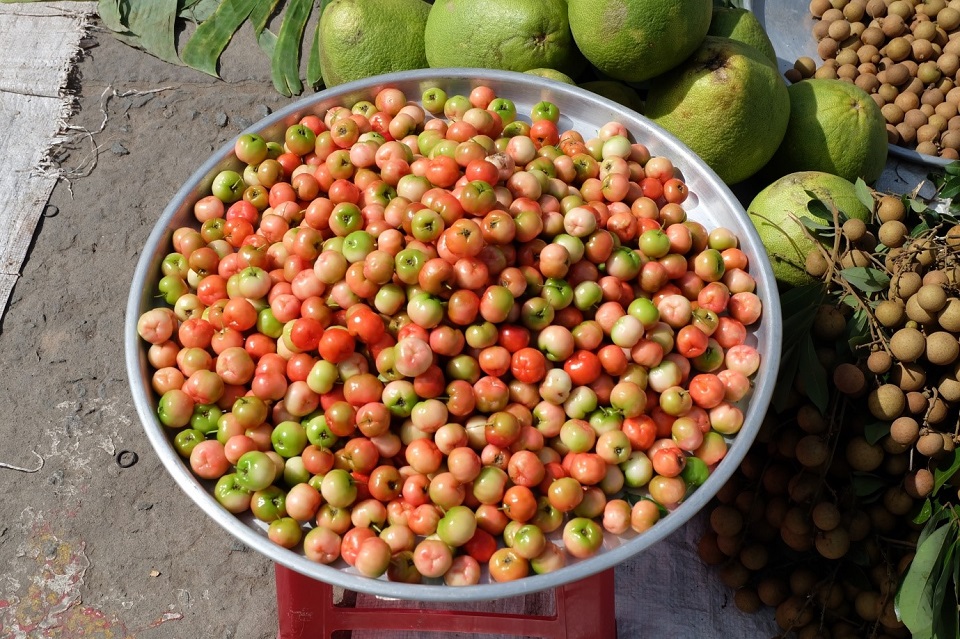 Fresh fruits found everywhere