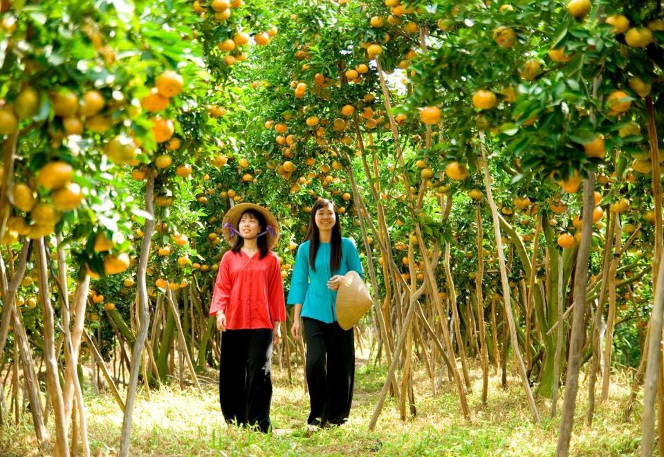 Orchard - Ben Tre Vietnam