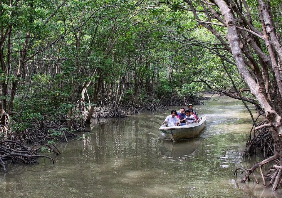 mangrove Can Gio Vietnam