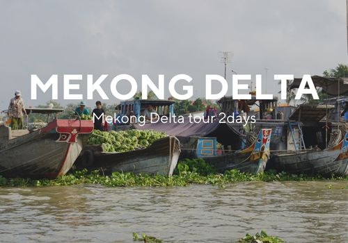 Mekong Delta tour 2 days: How to plan a perfect itinerary?