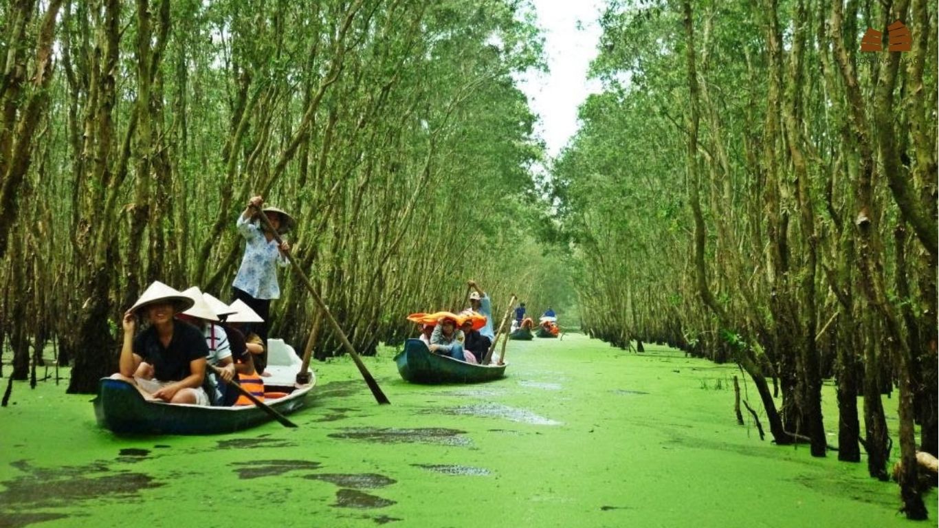 Eco-tourism in Mekong Delta