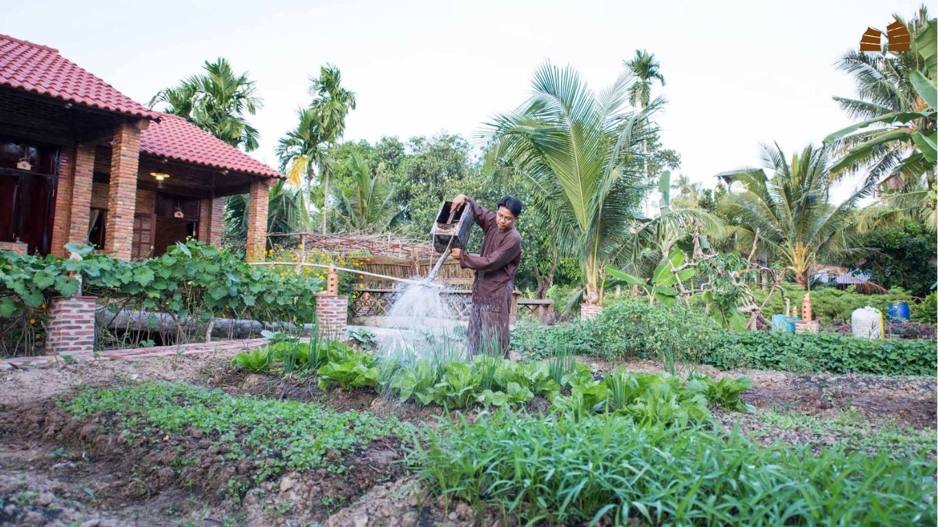 Farm-to-table experiences