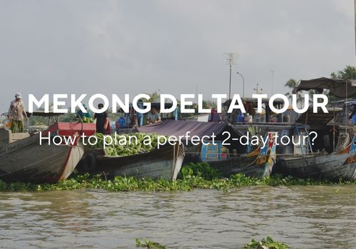 Mekong Delta tour 2 days: How to plan a perfect itinerary?