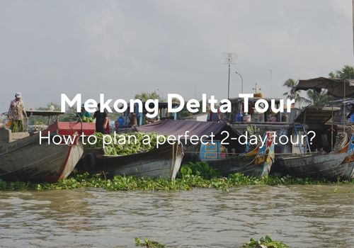 Mekong Delta tour 2 days: How to plan a perfect itinerary?