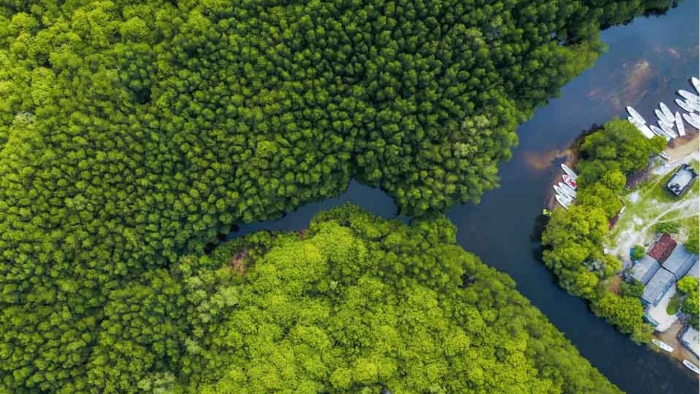 Can Gio Mangrove Biosphere Reserve