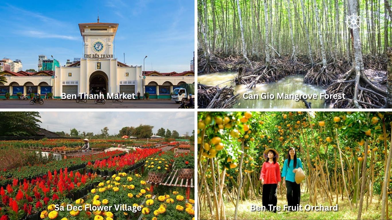 A nature leaning South Vietnam itinerary can take you to Ben Thanh Market, Can Gio Mangrove Forest, Sa Dec Flower Village, and Ben Tre Fruit Orchard