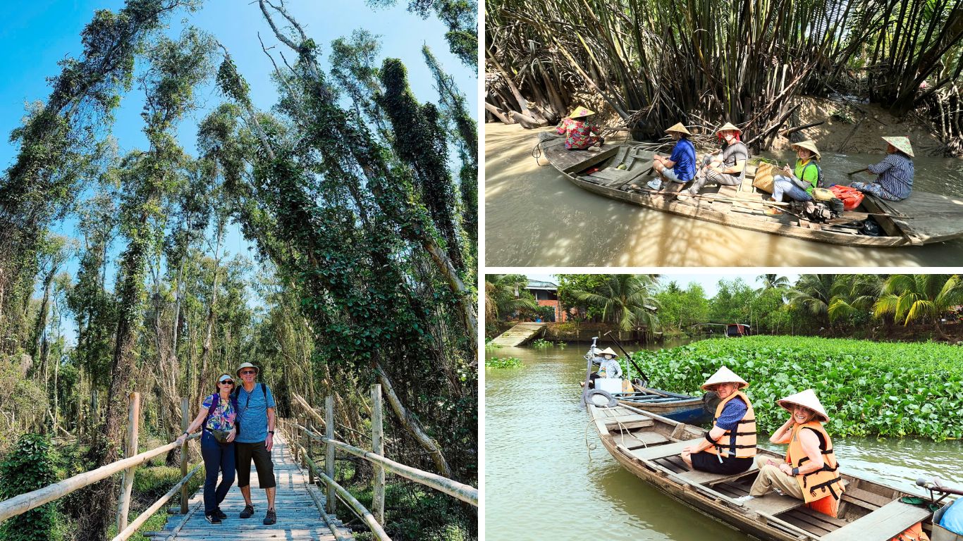 Tra-Su-Cajuput-Forest