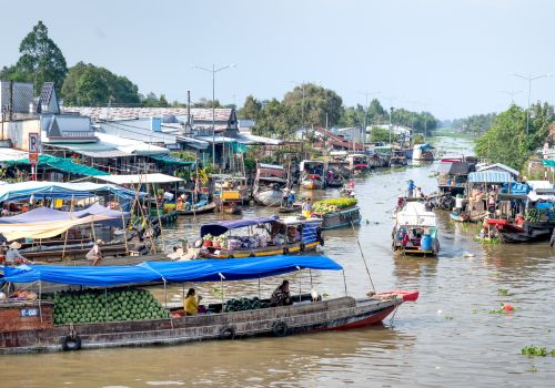 Mekong Delta Travel Guide: How Many Days You Need And What To Expect