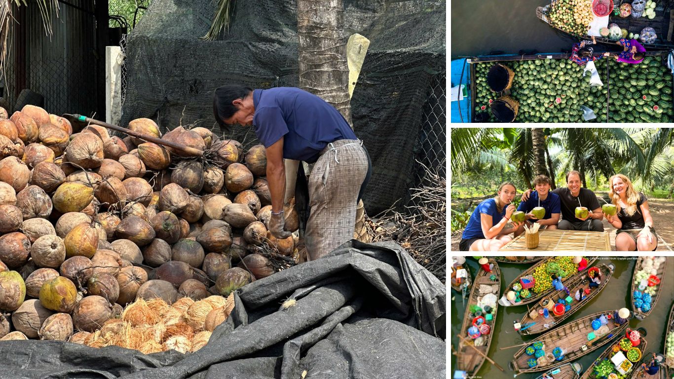 Coconut harvest, fresh fruit on floating market boats, and travelers enjoying local produce during a Mekong Delta fruit season excursion in June.