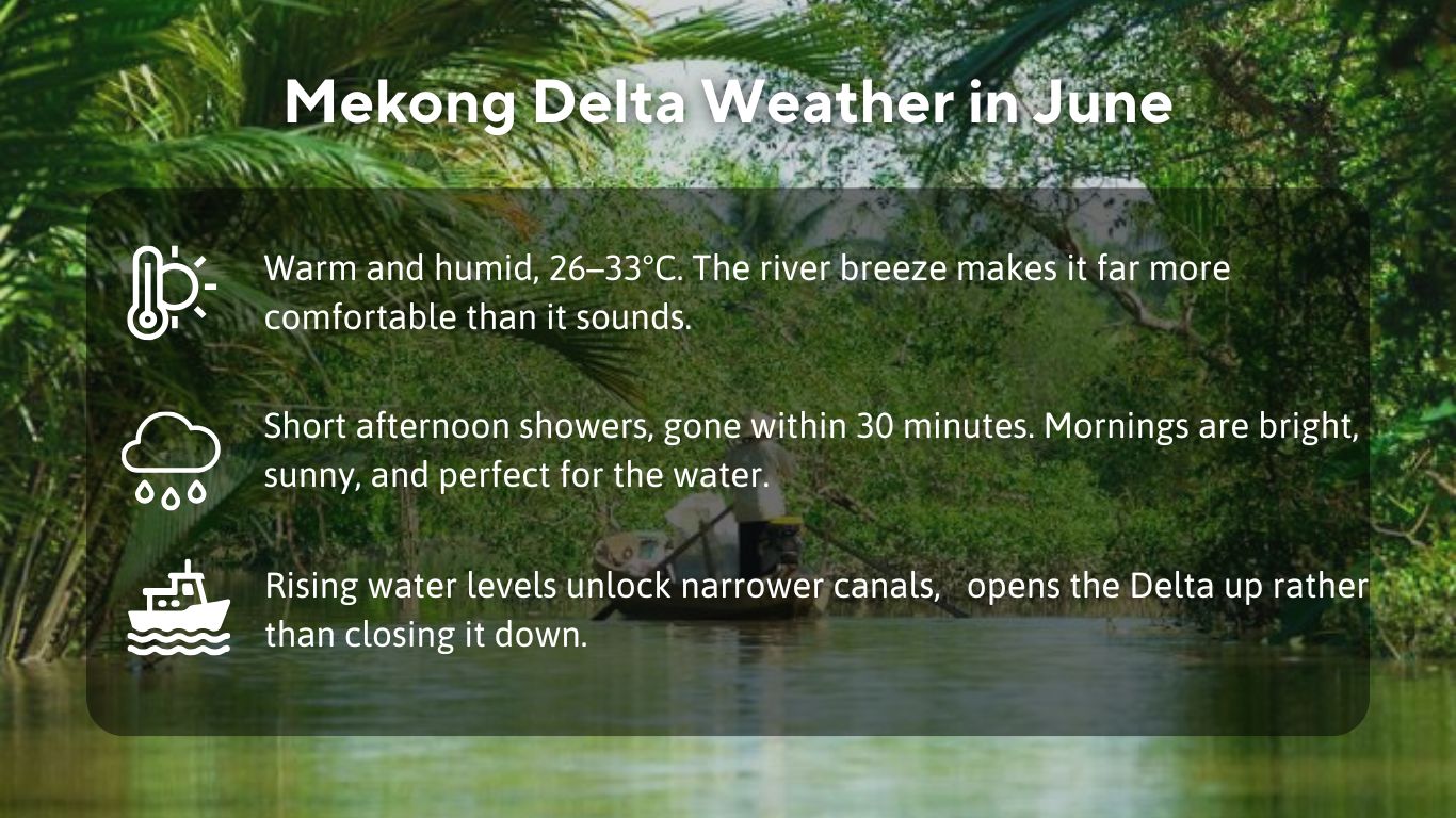 Mekong Delta Weather in June
