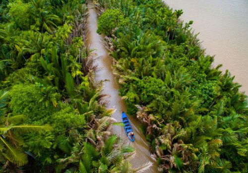 Mekong delta
