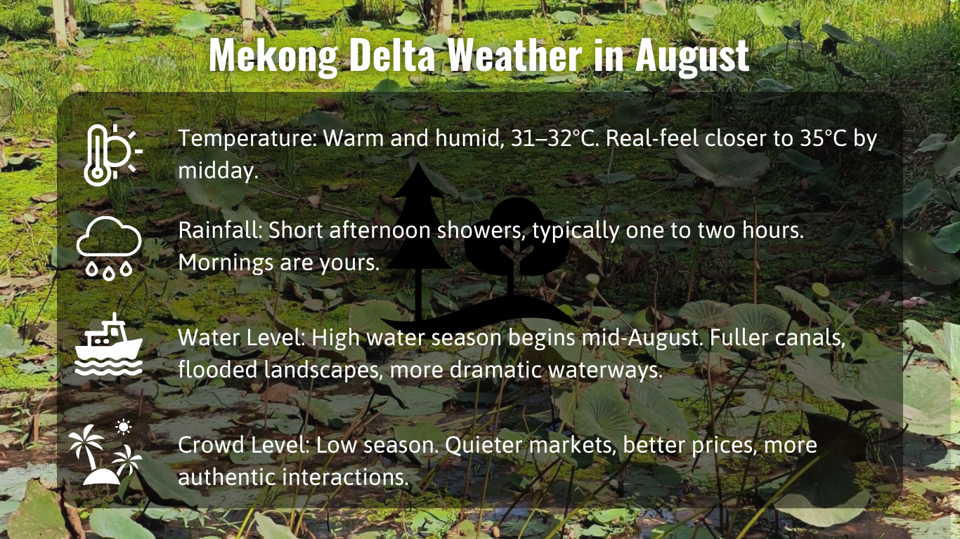 Mekong Delta Weather in August