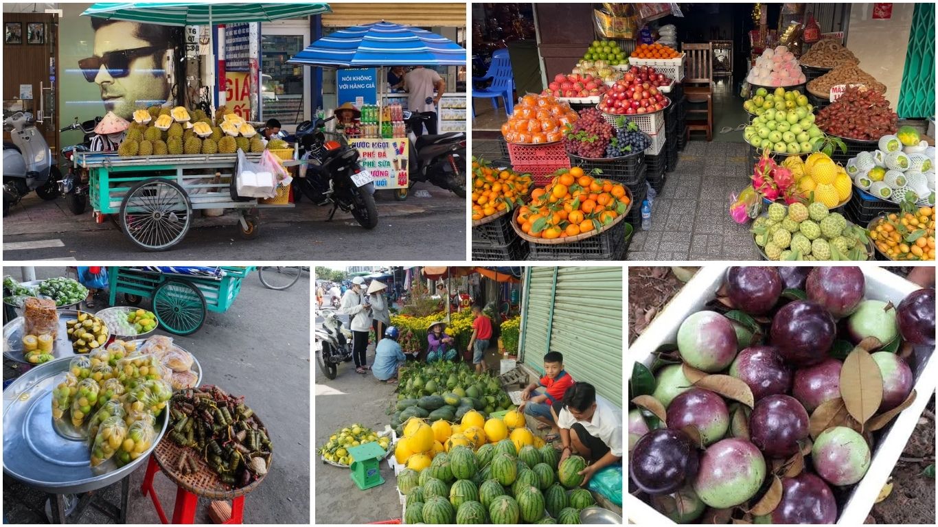 Tropical fruits in season Mekong Delta August including durian watermelon and local street fruit market Vietnam