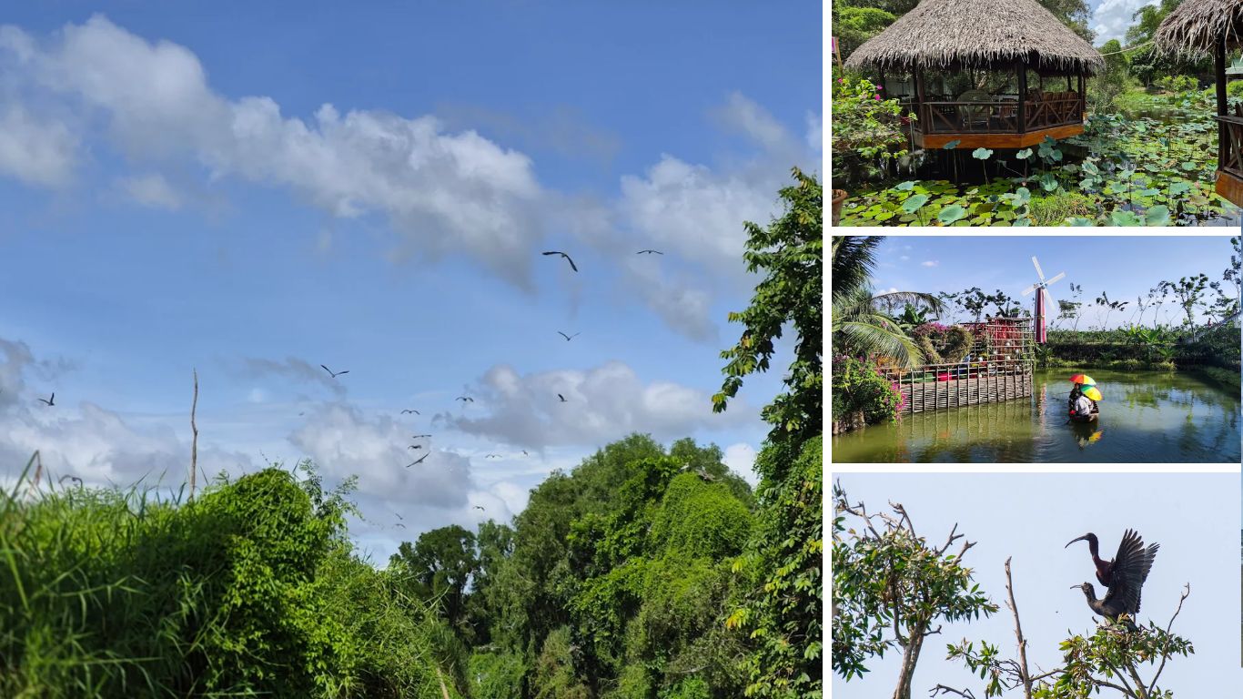Gao Giong ecotourism park with melaleuca forest, thatched huts over water, canal boat ride, and native birds in the Mekong Delta