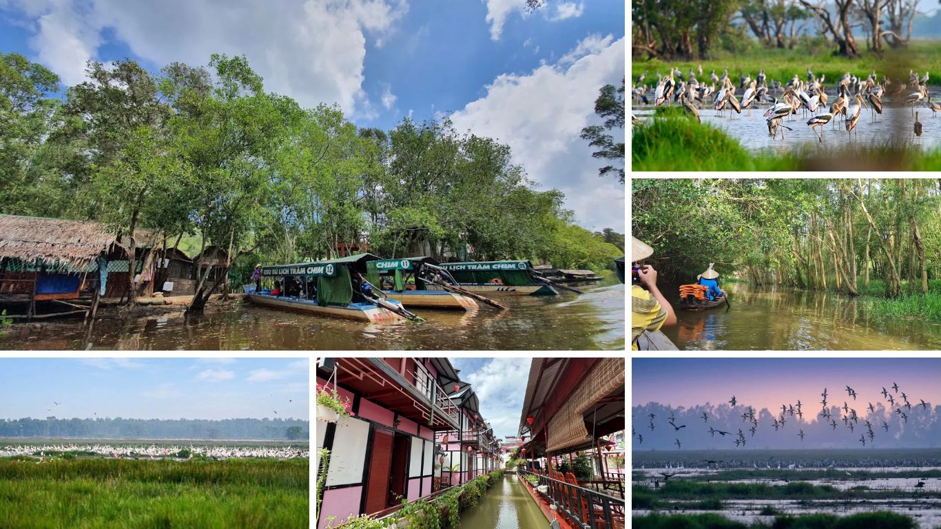 Tram Chim National Park bird sanctuary boats and migratory storks alongside Sa Dec colonial canal houses in Dong Thap Mekong Delta Vietnam