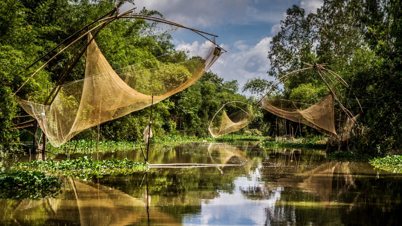Traditional lift fishing nets over a calm green canal in the Mekong Delta in November