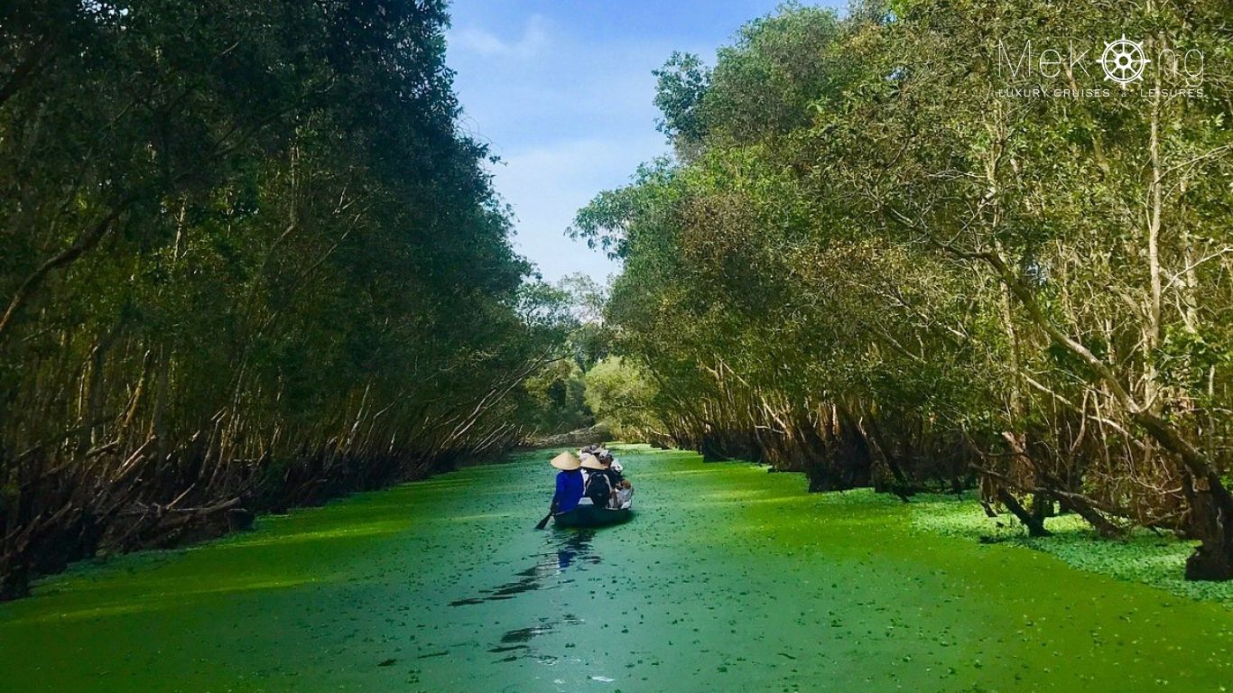 Small boat paddling through the flooded Tra Su cajuput forest, with the water covered in bright green duckweed during floating season