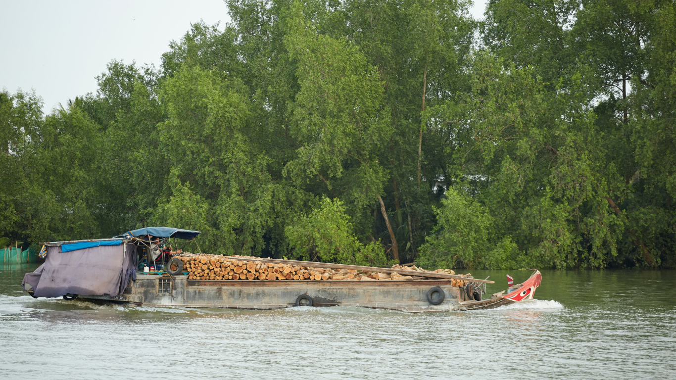 Cargo boat loaded with logs on a cloudy river, typical weather in the Mekong Delta in November
